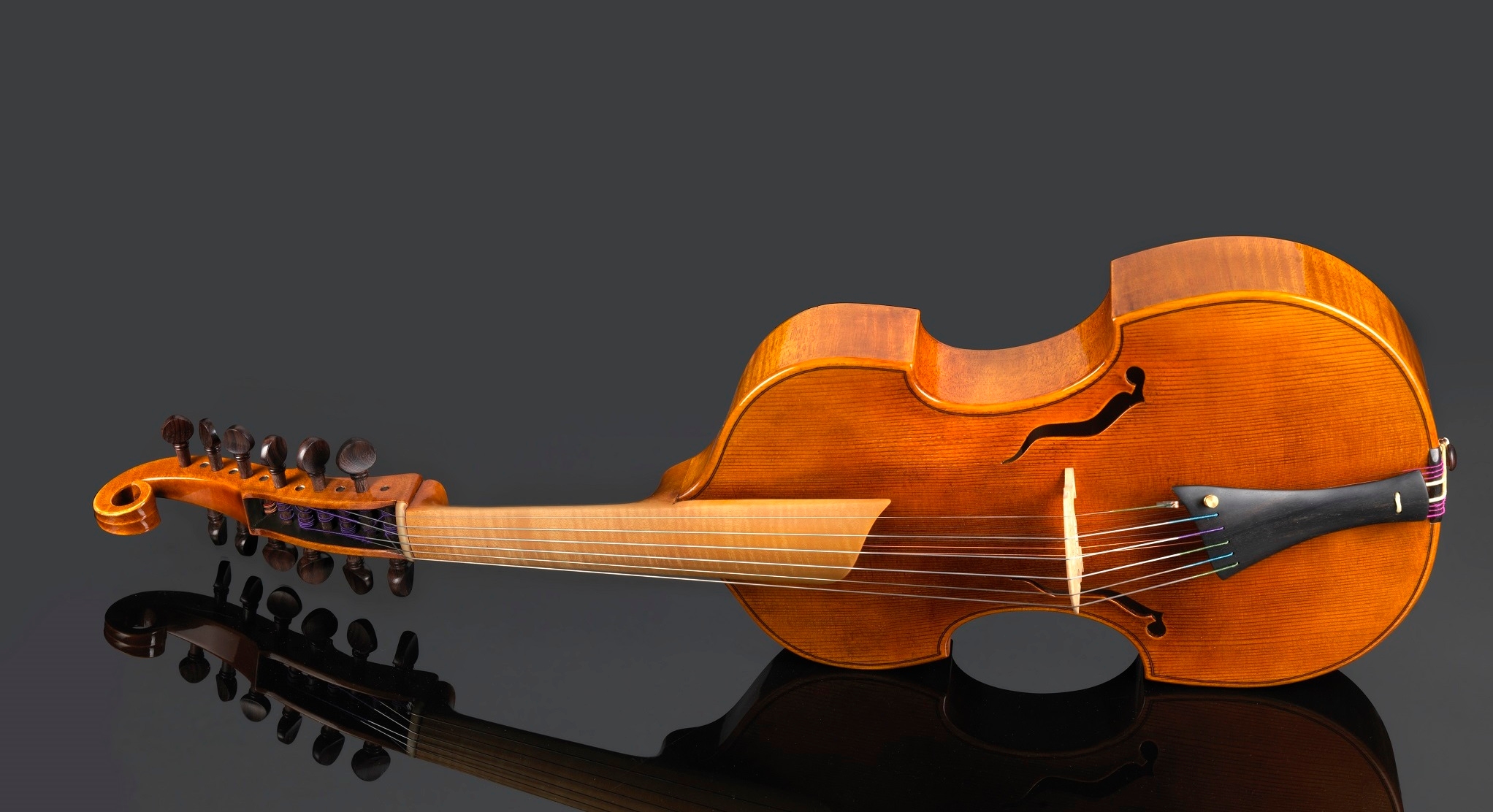 Daniel Ross 12 string viola d amore Delahousse 3